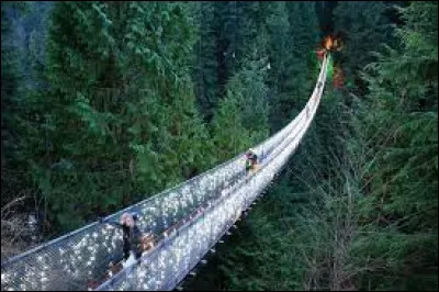 Au Canada, vous aurez la chance de pouvoir traverser le pont suspendu de Capilano.