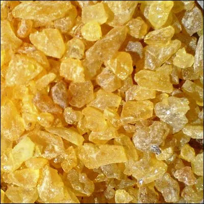 Quel conifère, dont une espèce produit une résine appelée sandaraque, est aussi appelée cèdre blanc au Canada ?