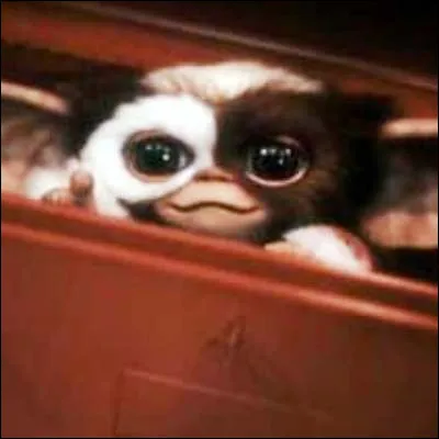 En quelles créatures se transforment les mogwaïs quand on les nourrit après minuit ?