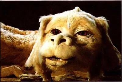 Falcor, le gentil chient volant dans :