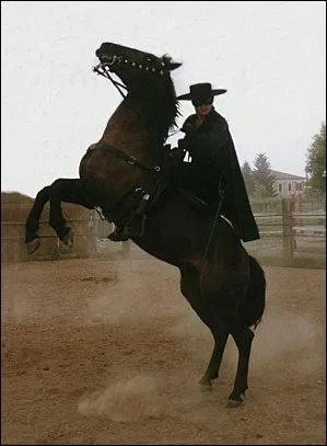 Comment s'appelle le bel talon de Zorro ?