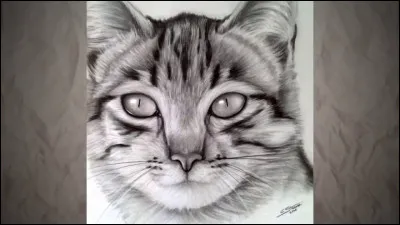 Comment dessines-tu ?