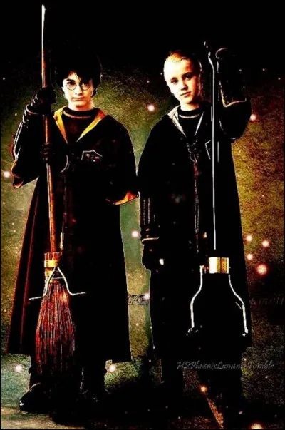 Préfères-tu Harry ou Drago ?