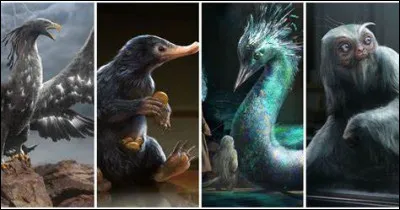 Quelle créature préfères-tu ?