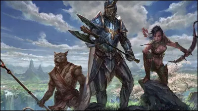 Quelle particularité physique leur correspond ?