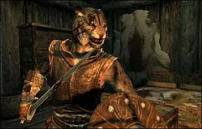 En Bordeciel, on rencontre souvent les Khajiits dans des caravanes. Une de ces caravanes fait la route entre Vendeaume et Solitude, mais qui est leur chef ?
