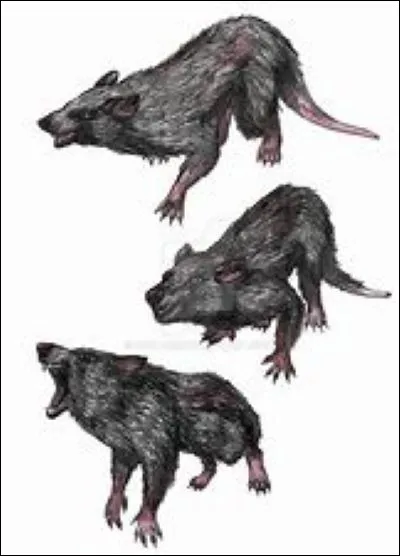 Que fabriquent les Khajiits avec le sucrelune ?