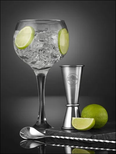 Soi comme soif : un gin tonic va nous désaltérer ! De quoi va-t-on accompagner le gin ?