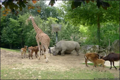 Combien le zoo fait-il d'hectares ?
