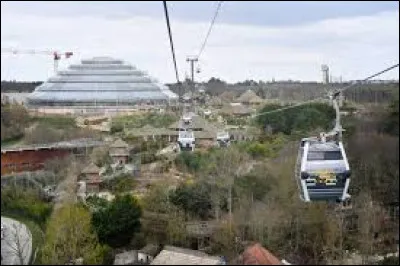 Quel est l'animal fétiche du zoo ?