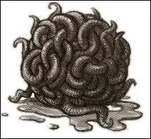 Quel moyen un botaniste choisirait-il pour se dplacer sous l'eau ?