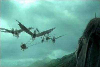 Que boivent les chevaux de Madame Maxime ?