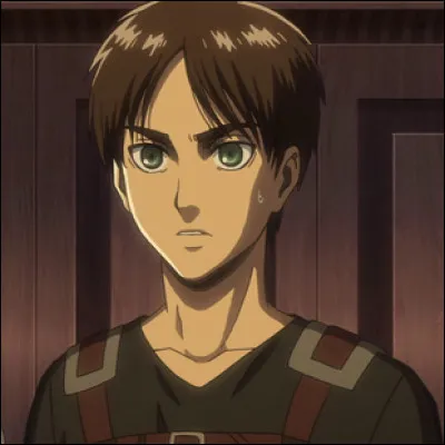 Vous voyez Eren comme :