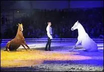 D'o� est originaire la chanson qui commence par 'Mon cheval est le seigneur des chevaux' ?