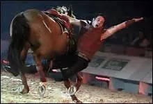 Que signifie cette phrase en cr�ole d'Edouard Maunick, au sujet de son cheval Wing Passage : 'Li galoupe koma �ne l�z�l zozo' ?