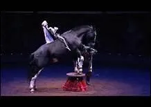 Selon un proverbe chinois, on conna�t le cheval en chemin. Mais le cavalier ?