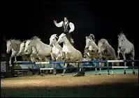 Qui �crit 'cheval' en majuscules ?