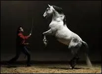Selon un proverbe tib�tain, pour abr�ger une longue distance, il faut un cheval. Et si on n'en a pas, que faut-il ?