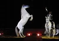 Selon un proverbe fran�ais de XIII�me si�cle, 'Tous ceux qui montent � cheval ne sont pas ... '