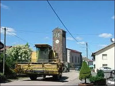Village du Grand-Est, dans l'agglom&eacute;ration Spinalienne, Dignonville se situe dans le d&eacute;partement ...