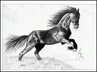 Selon un dicton, 'Pour un cheval fourbu ... '