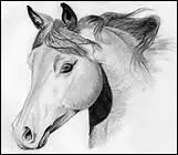 Selon un adage, 'Pour conqurir un pays, il faut monter  cheval, mais pour le gouverner ... '