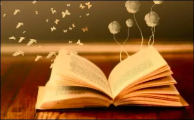 Quel type de livres lis-tu ?