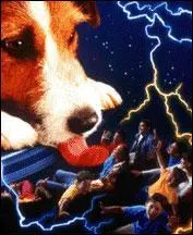 Europa-Park, Nigloland ou Disneyland ?