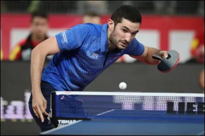 Comment s�appelle un joueur de tennis de table ?