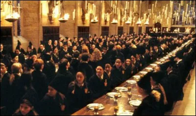 Lors de la distribution du courrier, un hibou s'approche de toi pour te déposer un paquet. Qu'aimerais-tu recevoir ?