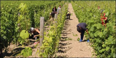 Travailler la terre m'anime profond&eacute;ment.
