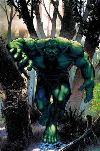 Hulk (et non Bruce Banner) a été interprété par :
