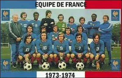 Quel fut le parcours de l'équipe de France ?