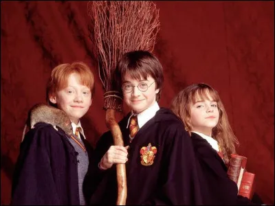 Fait-il partie du golden trio ? (Harry, Ron et Hermione)
