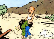 Quiz Tintin a fait :  Dansons folk ! 