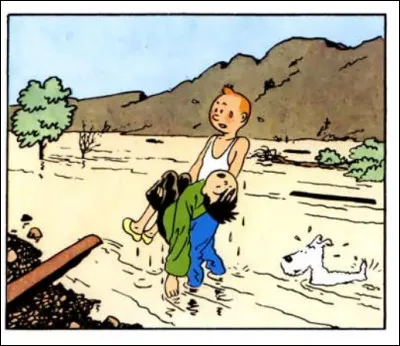 Danse populaire (mais pas de Chine !) de Vendée et du Marais poitevin.