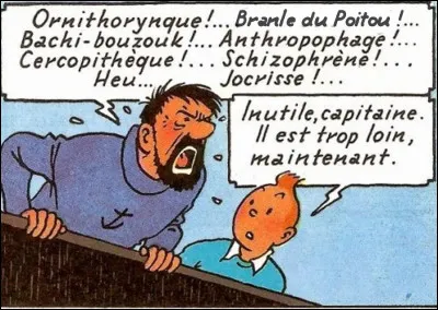 Parmi ces injures très recherchées, Haddock a glissé le nom d'une danse qui n'a que très peu à faire ici, mais qui fait son effet, non ? Laquelle ?