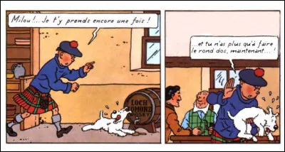 Jetons un voile pudique sur cette scène d'une rare violence : Tintin lui met une danse, au pauvre Milou !
