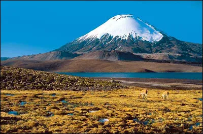Je suis un volcan situé entre l'Argentine et le Chili. Qui suis-je ?