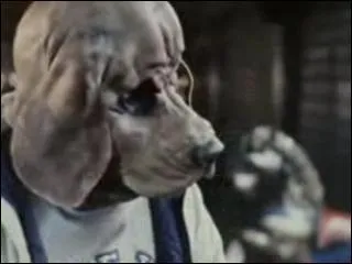 Cette image est extraite d'un clip de :