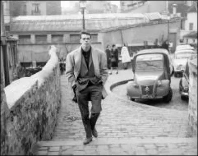 Combien de chansons ont un ou des animaux dans le titre ?