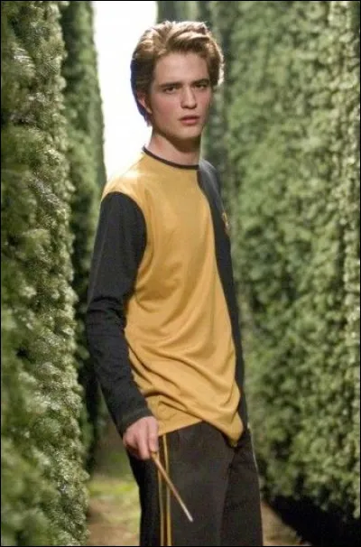 Comment s'appelle le cimeti&egrave;re dans lequel Cedric Diggory se fait tuer ?