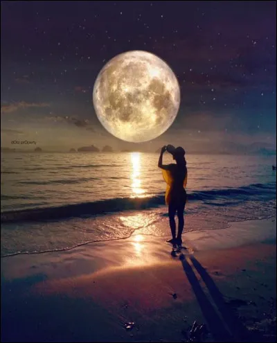 Et qu'est-il normal de vous dire si vous avez obtenu un score de 85 % sur ce quiz ?