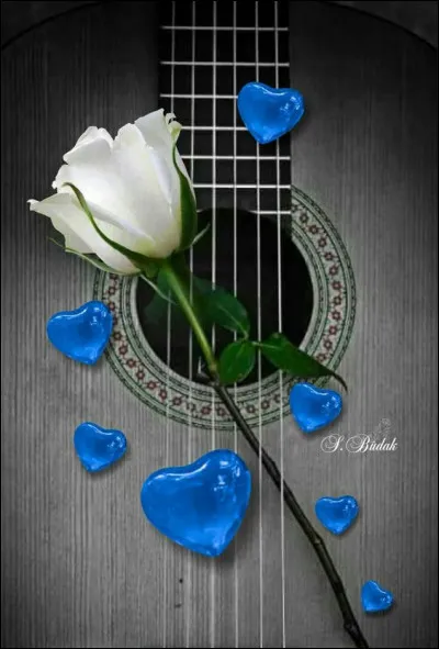 Dans les années 70, qui chantait "Je suis le mal aimé" ?