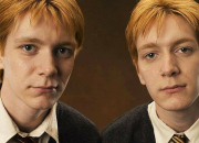 Quiz Fred et George Weasley