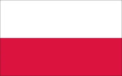 A quel pays appartient ce drapeau ?