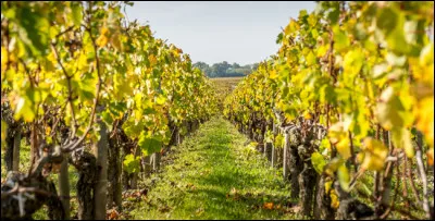 Non, il n'y a pas de piège, puisque je vous le dis !