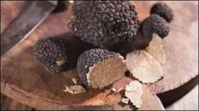 La blanche d'Alba est la plus réputée, chez nous on trouve le diamant noir !