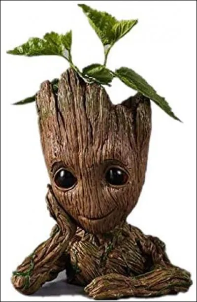 Plongez-vous dans les étoiles !