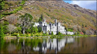 Nous sommes dans le Connemara, en Irlande, donc.
"On y croit encore aux monstres des lacs
Qu'on voit nager certains soirs d'été
Et replonger pour l'éternité..."
Le décor est planté... mais est-ce qu'il ne se serait pas planté, dans le décor ?
